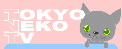 Tokyo Neko TV [東京猫ティービー] ネコ動画配信ブログです。